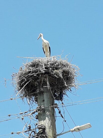 Besuch direkt vor unserem Haus
