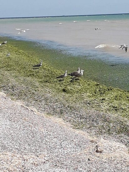 Kein wirkliches Badevergnügen