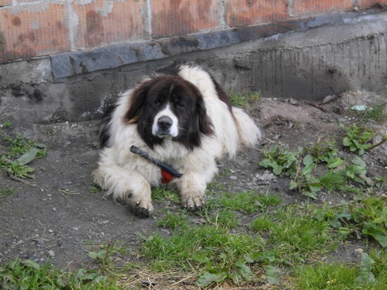 nette Begrüßung an der Bergstation
