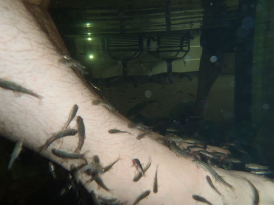 Das waren die Kleinen... Danach kamen die Piranhas!!