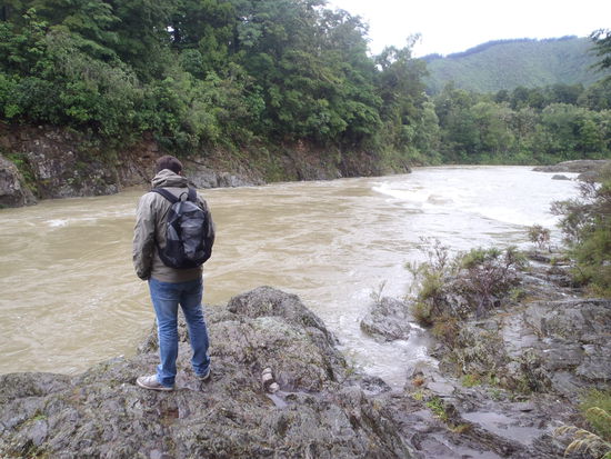 Der Pelorus Fluss bei Regen...