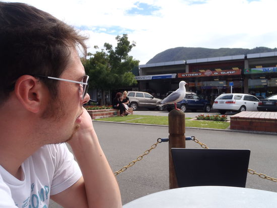 Jan hat nen Vogel...kurz vor der Abfahrt von Picton nach Wellington (Suedinsel--&gt; Nordinsel)