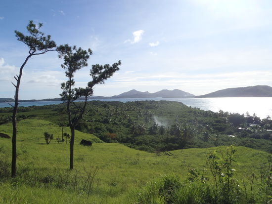 Einmal haben wir es sogar auf den Berg geschafft...und wurdenmit einer herrlichen Aussicht belohnt!