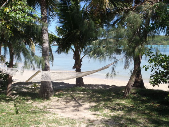 Unser neuer Vorgarten