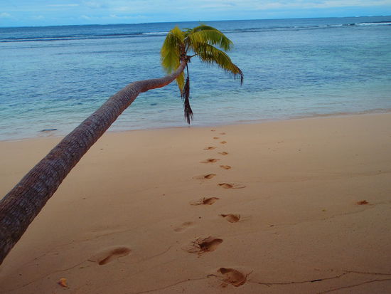 Maqai Resort auf Qamea...der wahrscheinlich schönste Ort der Erde! Ganz einsam, irgendwo im Nirgendwo!