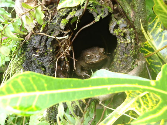 Moin Moin kleiner Freund!