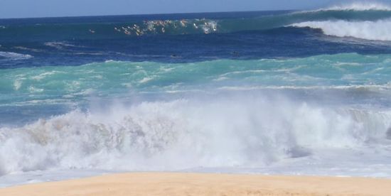 Waimea Bay North Shore / Oahu
...da hinten warten die Verrückten auf die richtige Welle...