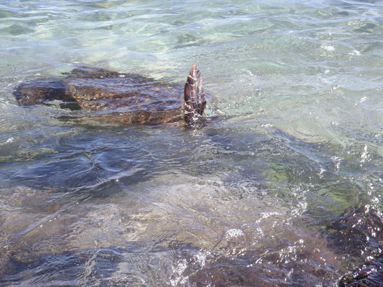 ...das ist doch kein Fels