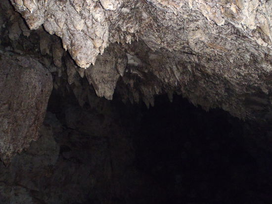 Die erste Cave....ganz im Neuseelaendischen Stil ohne Guide nur mit Taschenlampe rein....Gluehwuermchen gibts auch, wollen aber nicht fotografiert werden