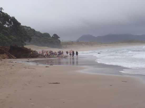 Gedraengel am Hot Water Beach (heisse Quellen...man graebt sich ein kleines Loch und das Wasser wird kochend heiss)