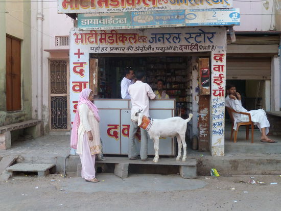 Indische Apotheke. Gut, dass wir Reisemedizin dabei haben 