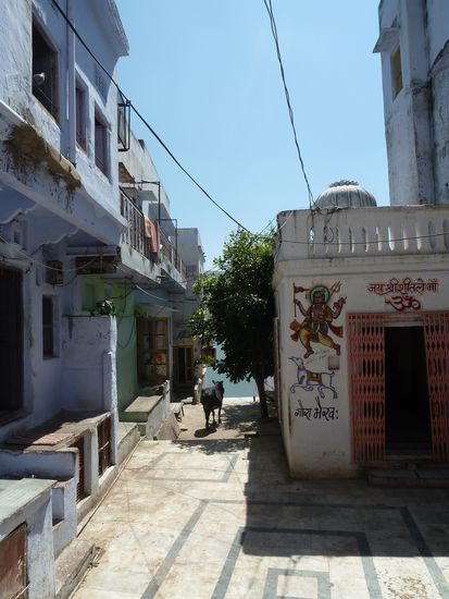 Eine Kuh auf dem Weg zur Pilger-Badestaette