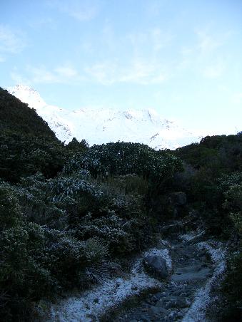 Der Sealy Tarns Weg