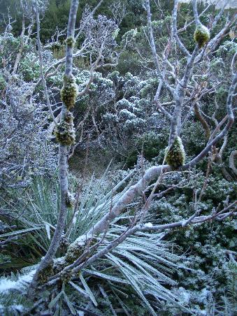 Winterliche Landschaft