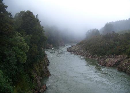 Der Buller River von oben.