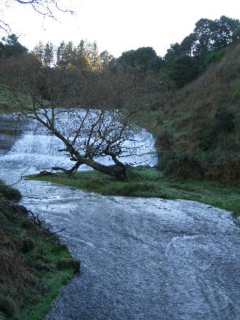 Der Fluss Wairoa kurz vor Tuai