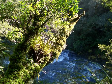 Der zweite Wasserfall von oben