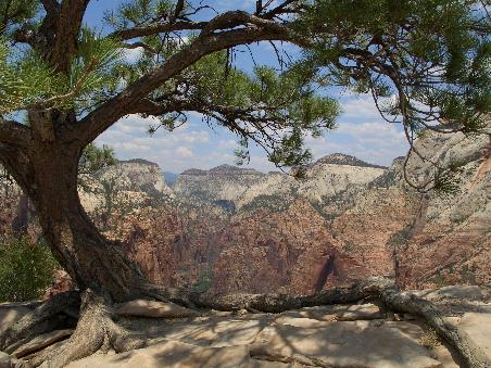 Am Ziel angekommen: Angels Landing