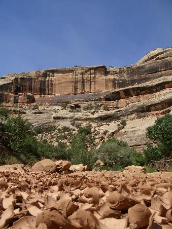 Das ausgetrocknete Flussbett: Der Schlamm kraeuselt sich zu tollen Mustern auf.