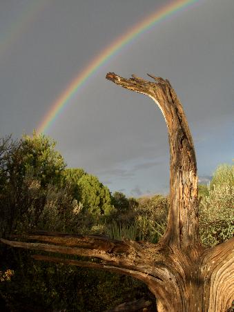 Der schoene Regenbogen entschaedigt uns fuer den heftigen Regen.
