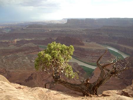 Blick auf den Dead Horse Point