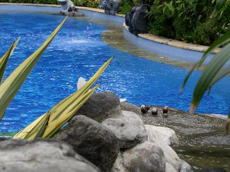 Unser Pool, ruhig und wunderbar zum Schwimmen geeignet - ohne irgendwelche gefaehrlichen Tiere