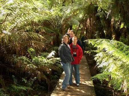 Der Mait's Rainforest Walk