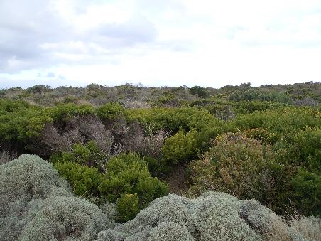 Die Landschaft um den Loch Ard Gorge