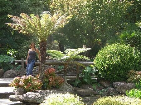 Auch der Fitzroygarden ist sehr schoen angelegt und ueberall sonnen sich die Menschen oder gehen Joggen