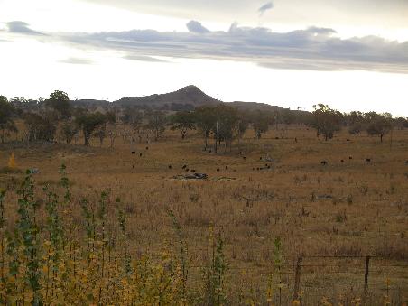 Trockene und karge Landschaft auf der Strecke von Guyra nach Glen Innes.