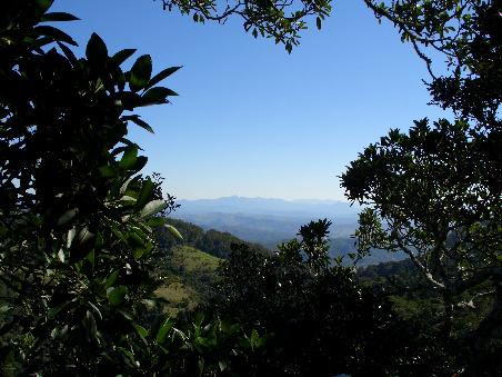 Blick vom Tree Top Walk in das Tal