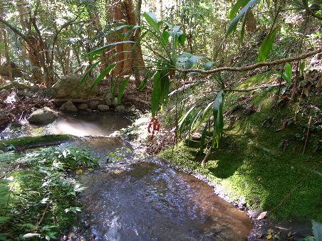 Kleiner idyllischer Bach, den man bei der Wanderung queren muss