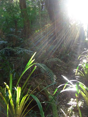 Am Nagarigoon Fall