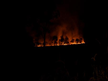 wildes Buschfeuer