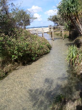 Eli Creek