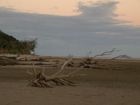 Der Strand beim Causeway