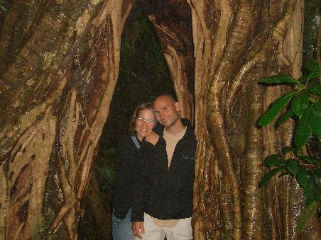 Im Regenwald vom Eungella National Park