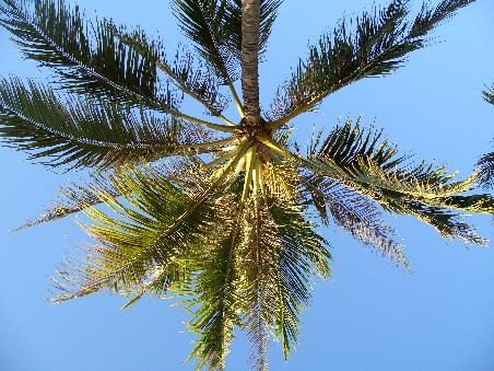 Blick nach oben