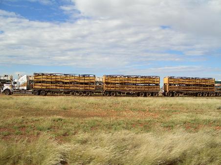 Ein Roadtrain in voller Laenge