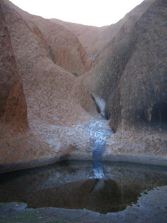 Ein Wasserloch am Uluru