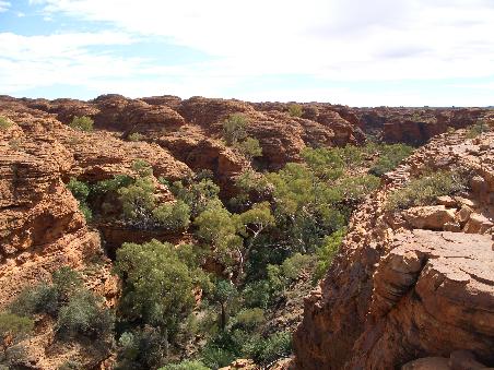Beim Kings Canyon Rim Walk