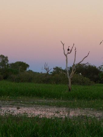 Das erste Morgenrot auf dem Yellow River