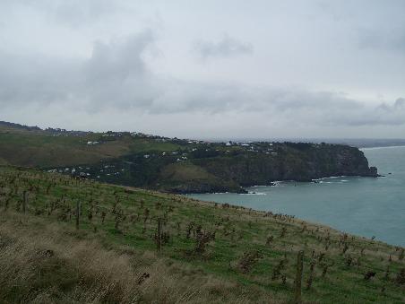 Blick auf die Klippen beim Godley Head