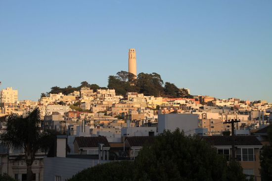 Der Wahnsinnsausblick von unserem Balkon. Wir sehen den Coit Tower, einen Teil der Stadt und Palmen.