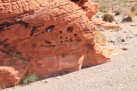 In jedem Stein kann man lesen - dieser hier sieht doch aus wie ein geschnitztes Kürbisgesicht, stimmts?