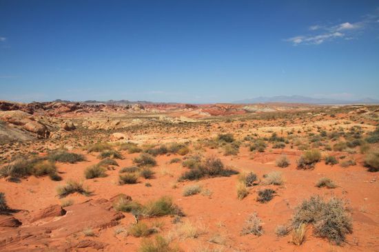 Es geht weiter durch den Park, wir suchen nämlich noch etwas ganz bestimmtes - die Fire Wave.
Im Park selbst gibt es keine Hinweisschilder da es nicht erwünscht ist dass sich Hunderte von Menschen gleichzeitig dort aufhalten, wir haben aber in unserem Reiseführer eine Wegbeschreibung.
Trotz der 45 Grad und völlig ohne Schatten machen wir uns mit unseren Rucksäcken, dem Führer und viel Wasser auf den Weg.
Es geht durch unwegsames Gelände quer durch die Wüste.
Der Weg zieht sich enorm, aber weit vor uns sehen wir zwei Leute - die wollen doch bestimmt auch zur Fire Wave.
Als wir die zwei Leute endlich erreicht haben kommen sie uns entgegen gelaufen und ich frage auf englisch ob sie die Fire Wave suchen und den Weg kennen.
Es stellte sich heraus dass es Schweizer waren und sie waren genauso ratlos wie wir.
Sie hatten keinerlei Wasser dabei, sehr leichtsinnig mitten in der Wüste.
Daher wollten sie sich schnell wieder auf den Rückweg machen.
Wir wollten aber noch nicht aufgeben und suchten weiter.
Die Hitze war fast nicht zum Aushalten.
In einer anderen Richtung sahen wir plötzlich eine junge Frau und ein junges Paar.
Wir liefen auf die drei zu, als wir plötzlich über einem Fels die bekannte Wellenzeichnung der Fire Wave erkannten.
Es war ein erhebendes Gefühl mitten in der Wüste diesen Ort gefunden zu haben.
Seit einem Jahr plante ich dorthin zu kommen und nun war ich da.
Es war ein wahnsinniges Gefühl.