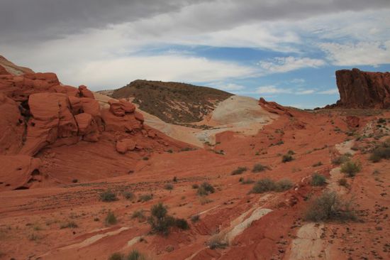 Dann machen wir uns auf den Weg zurück, der Himmel zieht sich immer mehr dunkel zu, dazu die enorme Hitze die einem auf den Kopf knallt und kein Funken Schatten weit und breit.
Auf dem Rückweg geht es mir immer schlechter, obwohl ich trinke, eine Mütze trage und auch mit hohem Lichtschutzfaktor eingecremt bin.
Mir wird immer schummriger und plötzlich sind meine Beine wie Gummi und das junge Paar das einige Meter vor uns läuft hat aus meiner Sicht auch Beine wie Gummi.
Dann verschwimmen die Konturen vor meinen Augen, ich weiß dass ich kurz vor dem umfallen bin.
Plötzlich bekommen ich eine heftige Angst, es ist wirklich ernst und ich versuche schnell vorwärts zu kommen.
Es setzt eine regelrechte Todesangst ein und ich beginne zu verstehen wie schrecklich ein Tod in der Wüste sein muß.
Mit letzter Kraft falle ich ins Auto, schnell Motor an und Klimaanlage eingeschaltet.
Ich bin schockiert wie schnell so etwas geht und erst nach einer halben Stunde geht es mir besser.
Eine irre Erfahrung, trotzdem bin ich total stolz dass ich es geschafft und die Fire Wave gesehen habe.