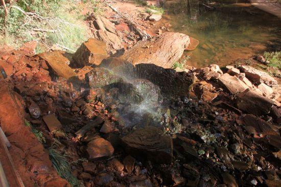 Unsere erste Wanderung geht zu den Lower Emerald Pools, einem Wasserfall.
Es geht zwar stetig bergauf, aber es gibt genug Schatten und die frische Morgenluft tut einfach gut.