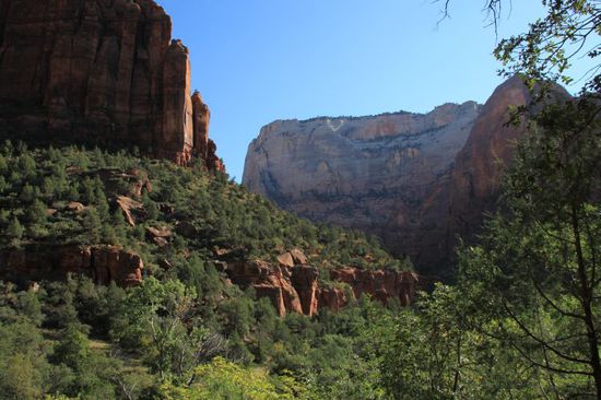 Der Kontrast des strahlend blauen Himmels, der roten Felsen und des satten Grüns ist umwerfend!