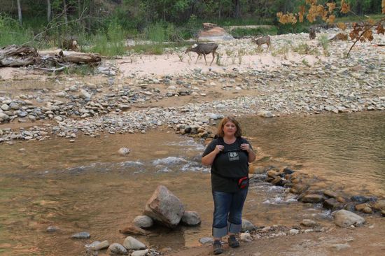 Nur der Virgin River trennt uns noch von den Deers.